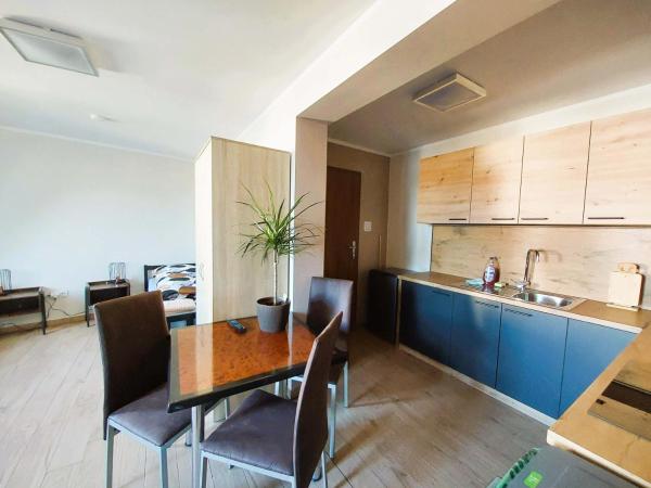En la foto se muestra el objeto AE BERG Apartamenty ubicado en la ciudad de Rudziniec.