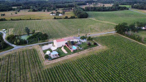 A la foto es mostra l'objecte Bubulles dans les vignes situat a la ciutat de Chamadelle.