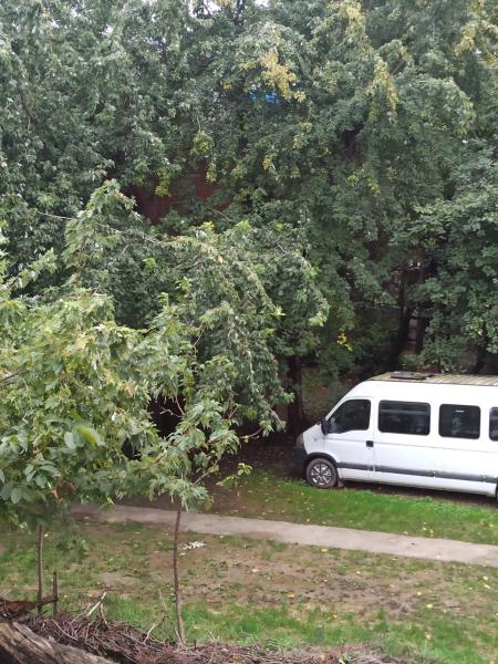 A la foto es mostra l'objecte Beograd, Oaza Palilula, 2 situat a la ciutat de Borča.