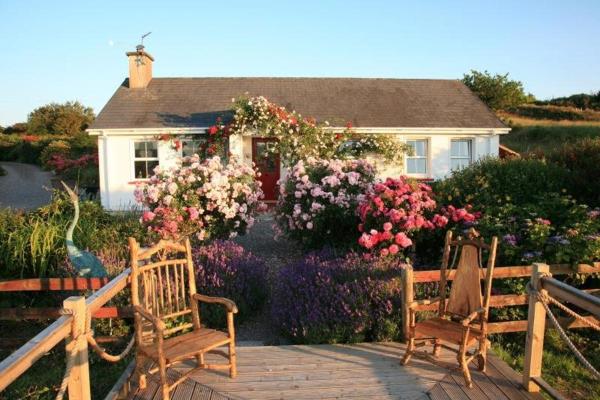 A la foto es mostra l'objecte Herons Cove Cottage situat a la ciutat de Béal an dá Chab.