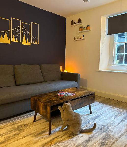 Entire Apartment in Dublin, Dublin