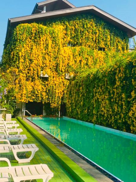Waasala Eco Luxury Heaven - Sri Lanka
