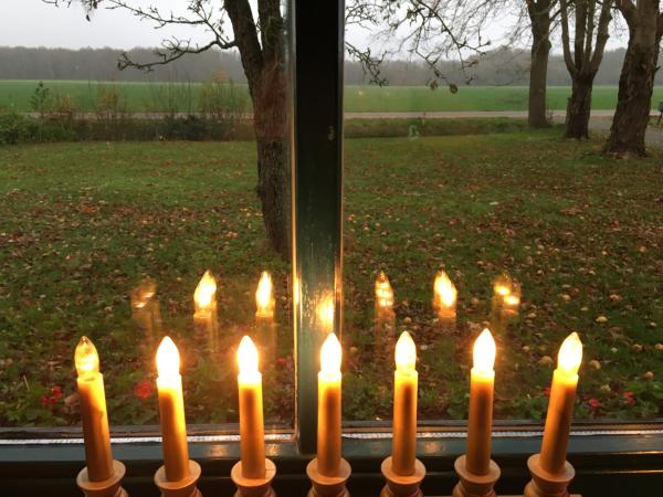 Photo 4 : Studio in farmhouse Close to Giethoorn