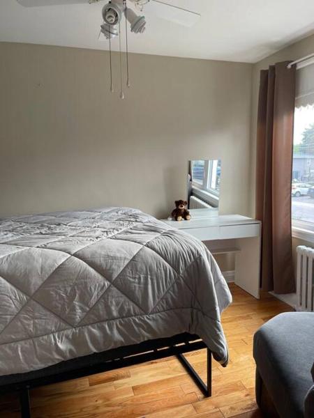 Στη φωτογραφία φαίνεται το αντικείμενο Entire Apartment που βρίσκεται στην πόλη Κίνγκστον.