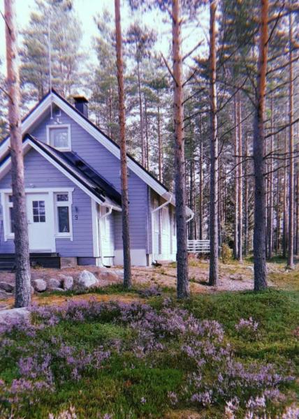På billedet ses objektet Villa beliggende i byen Siipo.