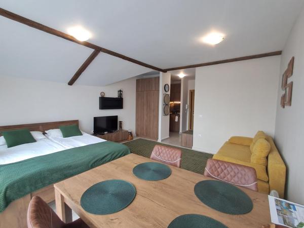 Zdjęcie 8: Large studio with view in Borovets Gardens