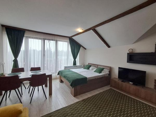 Zdjęcie 3: Large studio with view in Borovets Gardens