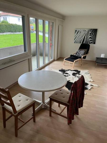 På billedet ses objektet Wohnung Felix beliggende i byen Oetwil am See.