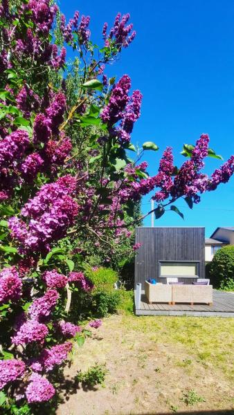 Kuva 8: Tiny Home