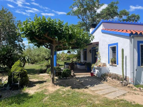 На фото показан объект Masia 'Oasi Vallmoll', расположенный в городе Nulles.