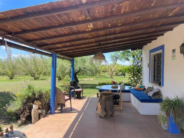 На фото показан объект Masía Oasis Vallmoll, расположенный в городе Nulles.