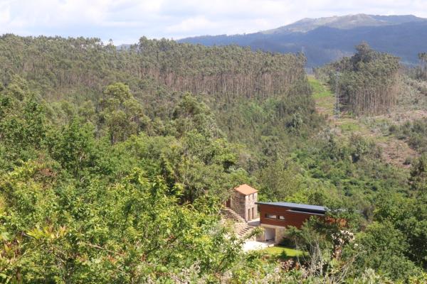 The photo shows the Quinta do Chão do Vale located in the city of Sever do Vouga.