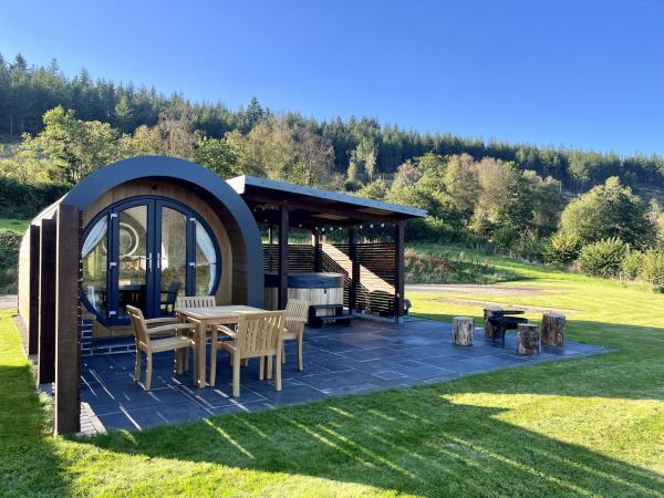 A la foto es mostra l'objecte Y Fedwen situat a la ciutat de Llanwddyn.