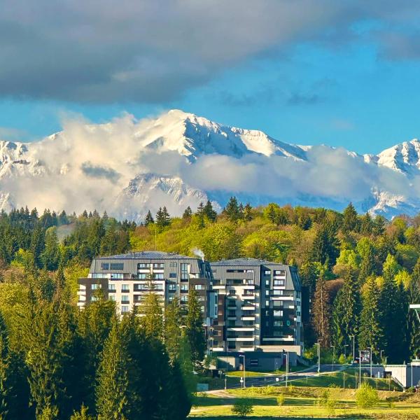 Foto 3: Joy Studio - Poiana Brasov - Silver Resort