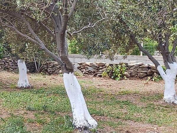 Bild 7: Ακροδεα