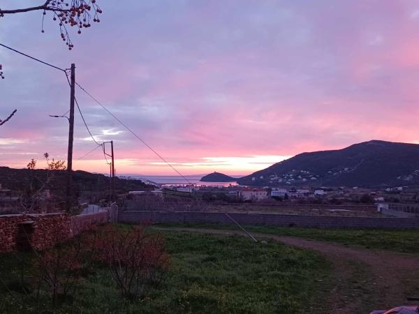 Bild 2: Ακροδεα