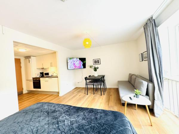 aday - Lollandsgade Studio Apartment Suite photo 4