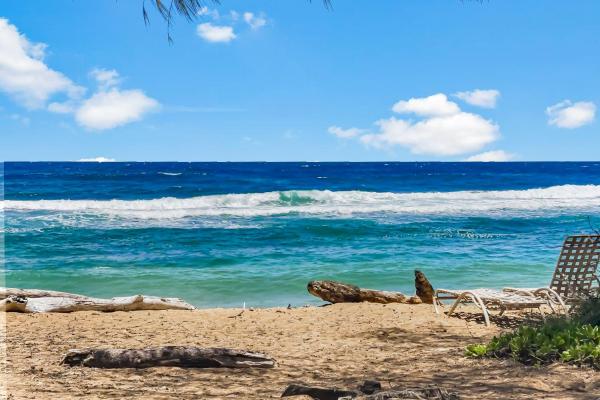 Fotografia 3: Islander on the Beach 164