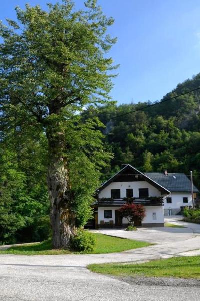 A la foto es mostra l'objecte Apartma pri lipi situat a la ciutat de Bohinj.