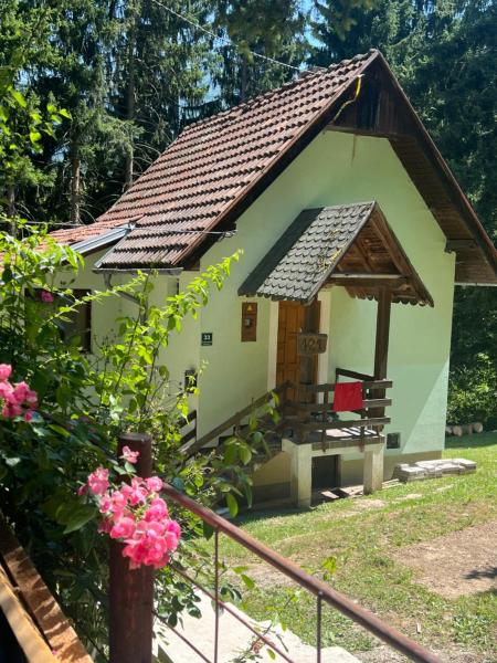 The photo shows the Vikendica Forest located in the city of Ušivak.