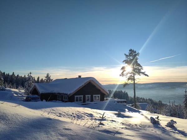 Nella foto è visibile l'oggetto Coazy cabin with sauna situato nella città di Trysil.