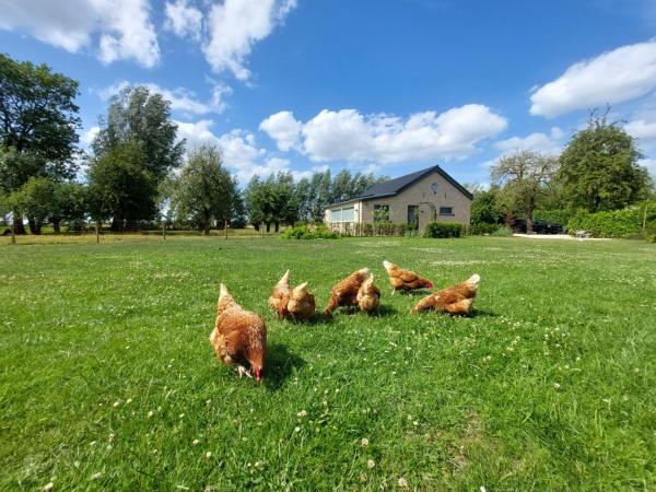 Na zdjęciu widoczny jest obiekt BB-4u położony w mieście IJsselstein.