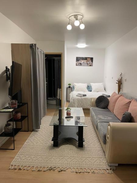 A la foto es mostra l'objecte Studio 28m situat a la ciutat de Saint-Claude.