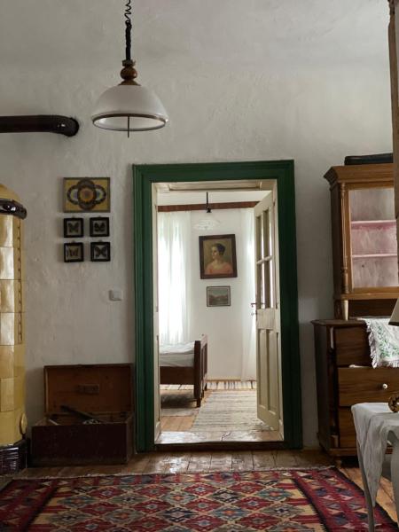 A la foto es mostra l'objecte Casa la Pridvor situat a la ciutat de Seliştat.
