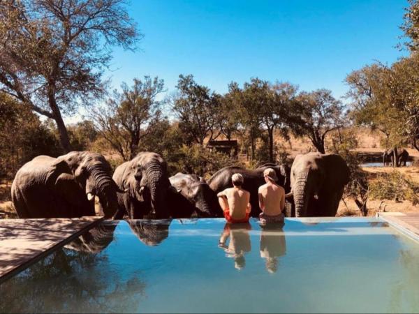 Na fotografii je vidět objekt Honeyguide Tented Safari Camps - Mantobeni nacházející se ve městě Rabalias Gate.