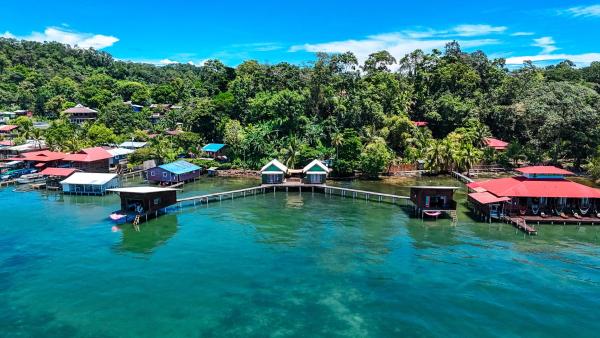 The Sea Monkey - Bocas del Toro Province