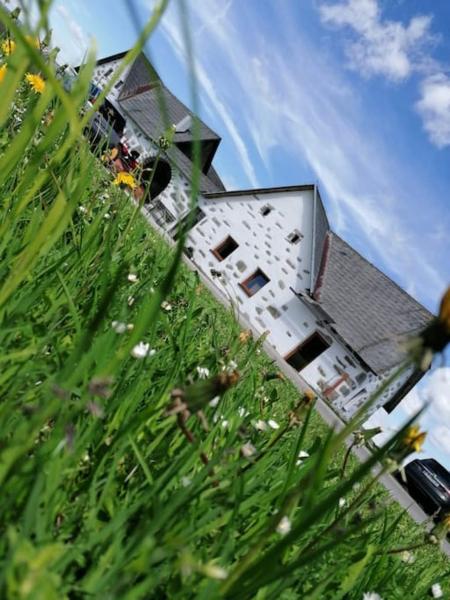 The photo shows the Ferienhaus Goanbau Schöneben located in the city of Liebenau.