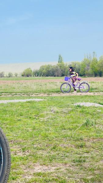 Tiny House in Kashka Suu Villageの写真4