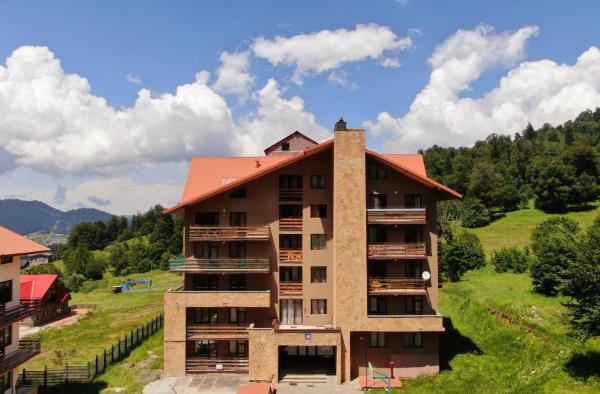 A la foto es mostra l'objecte Apartment in Bakuriani near Didveli situat a la ciutat de Bakuriani.