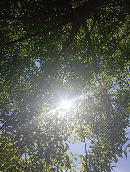 Na fotografii je vidět objekt Aldea de la hoja nacházející se ve městě Chascomús.