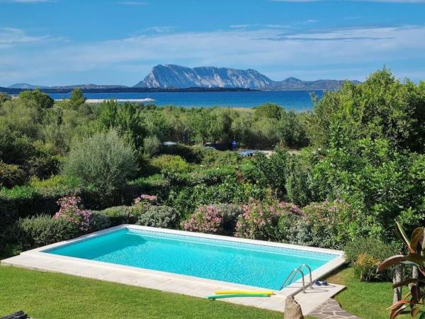 Na zdjęciu widoczny jest obiekt Villa with Pool, Garden and Sea View położony w mieście San Teodoro.