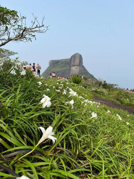 Fotografie 7: Live in Rio