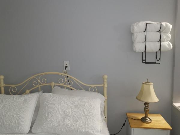 Na zdjęciu widoczny jest obiekt Cozy Eco Studio położony w mieście Ottawa.