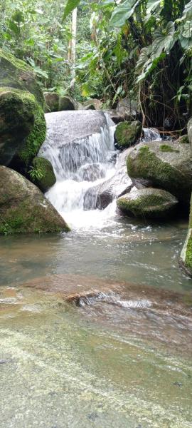 Na fotografii je vidět objekt Cabaña Raíces del Bosque nacházející se ve městě Cocorná.