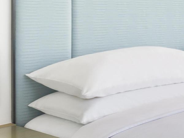 Zdjęcie 8: Four Points by Sheraton Hong Kong, Tung Chung