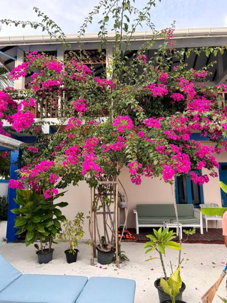 Στη φωτογραφία φαίνεται το αντικείμενο Kendhoo holidays που βρίσκεται στην πόλη Kudarikilu.