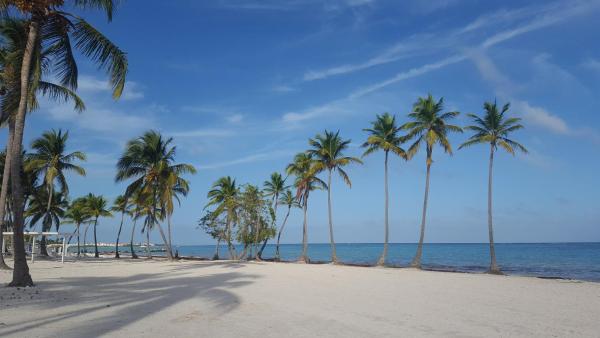 På billedet ses objektet Big apartment whit Pool jacuzzi terrace beliggende i byen Punta Cana.