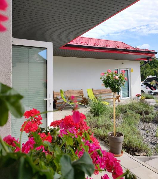 Apartamenty Pod Gruszą - Kudowa-Zdrój