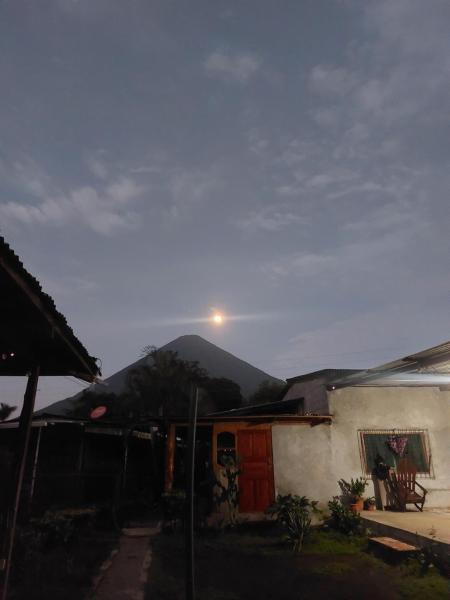 A la foto es mostra l'objecte Hostal Bullshark situat a la ciutat de Las Pilas.