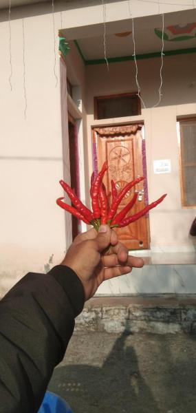 A la foto es mostra l'objecte Home stay nagtibba road situat a la ciutat de Lakhwār.