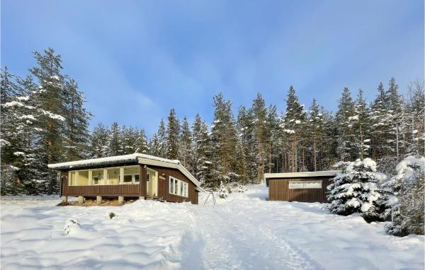 A la foto es mostra l'objecte Awesome Home In Trysil With Wifi situat a la ciutat de Mælem.