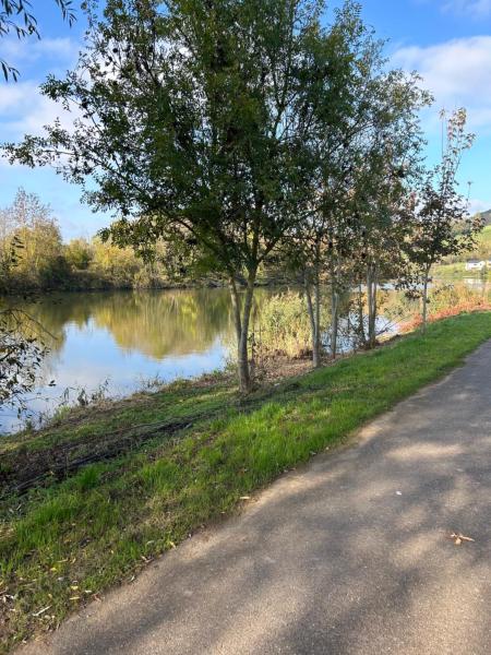 Kuvassa näkyy kohde maison au bord de l'eau, joka sijaitsee kaupungissa Malleloy.
