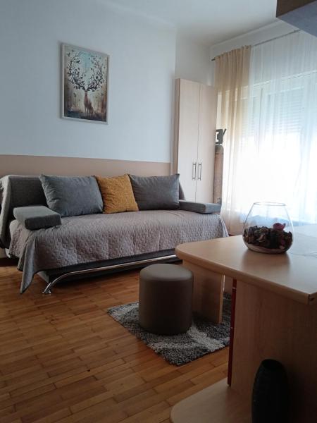 A la foto es mostra l'objecte Apartman Petar Pan situat a la ciutat de Rijeka.
