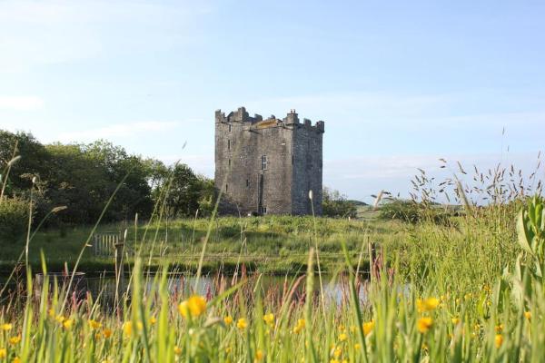På bildet vises objektet Smithstown Castle som ligger i byen Kilfenora.