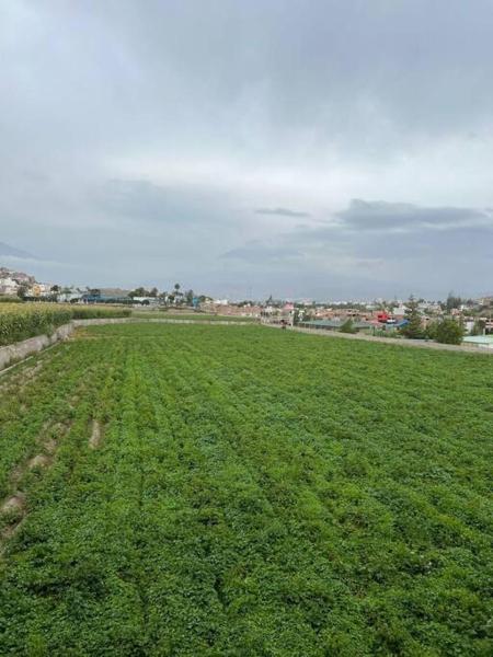 Na zdjęciu widoczny jest obiekt Hospedaje Sachaca, Arequipa położony w mieście Vítor.