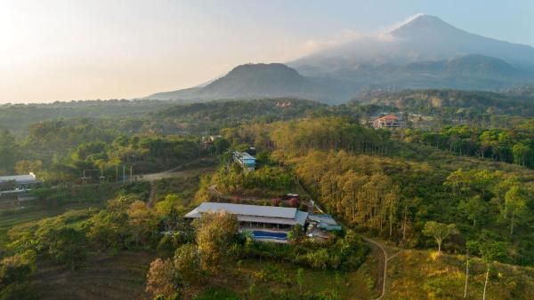 写真にはJatijejer市にあるRoyal Hotel and Outbound Trawasが写っています。